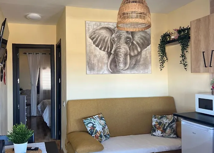 Meliyeri2 1ª Linea De Playa Appartement